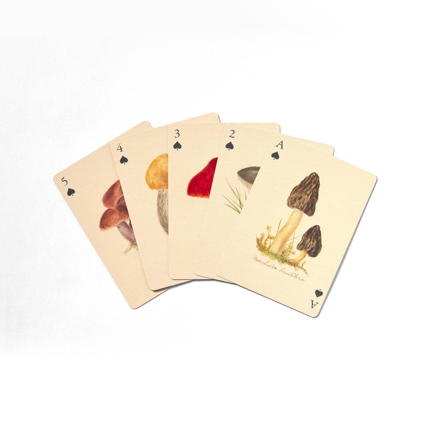 Two deck playing card set: fungi