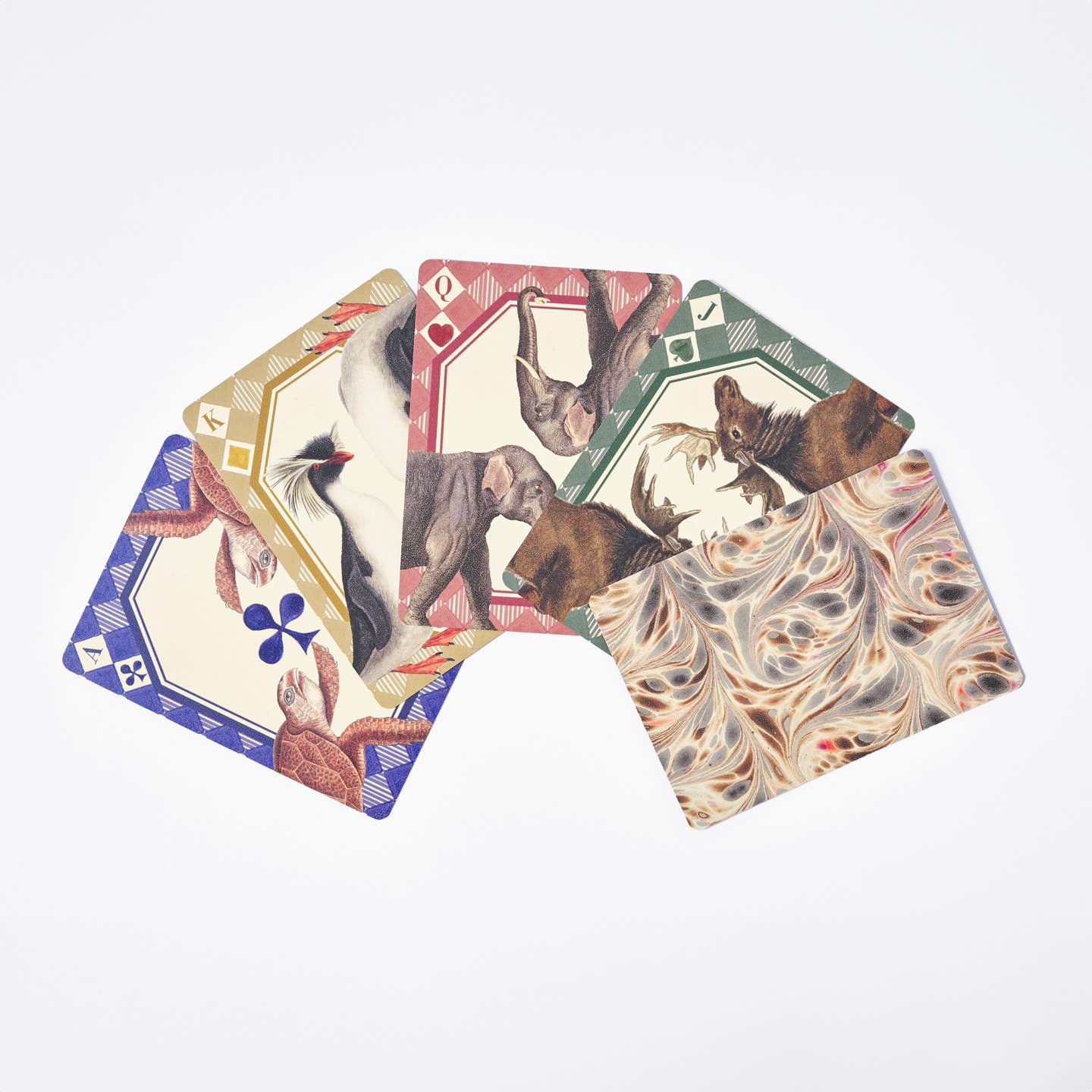 Animal kingdom playing cards