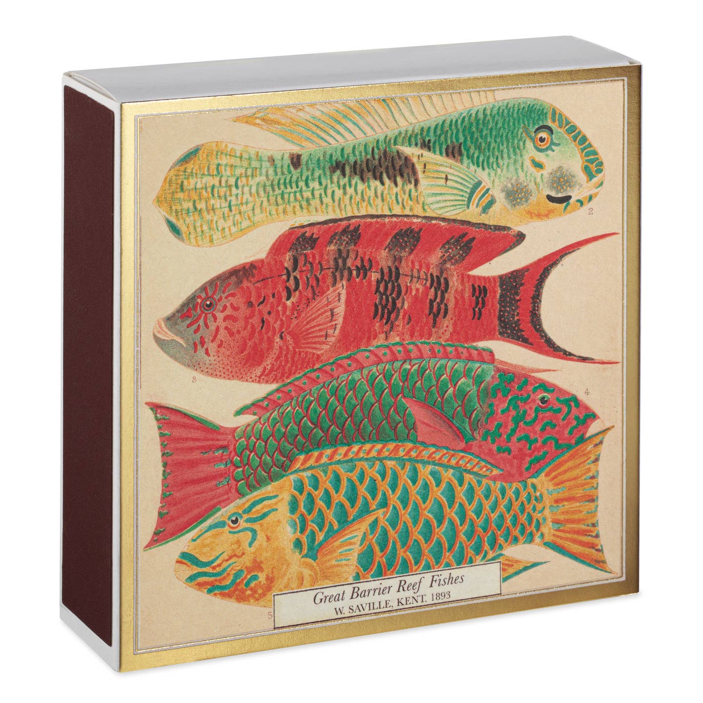 Fish matches