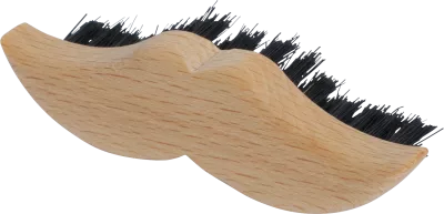 Beard brush