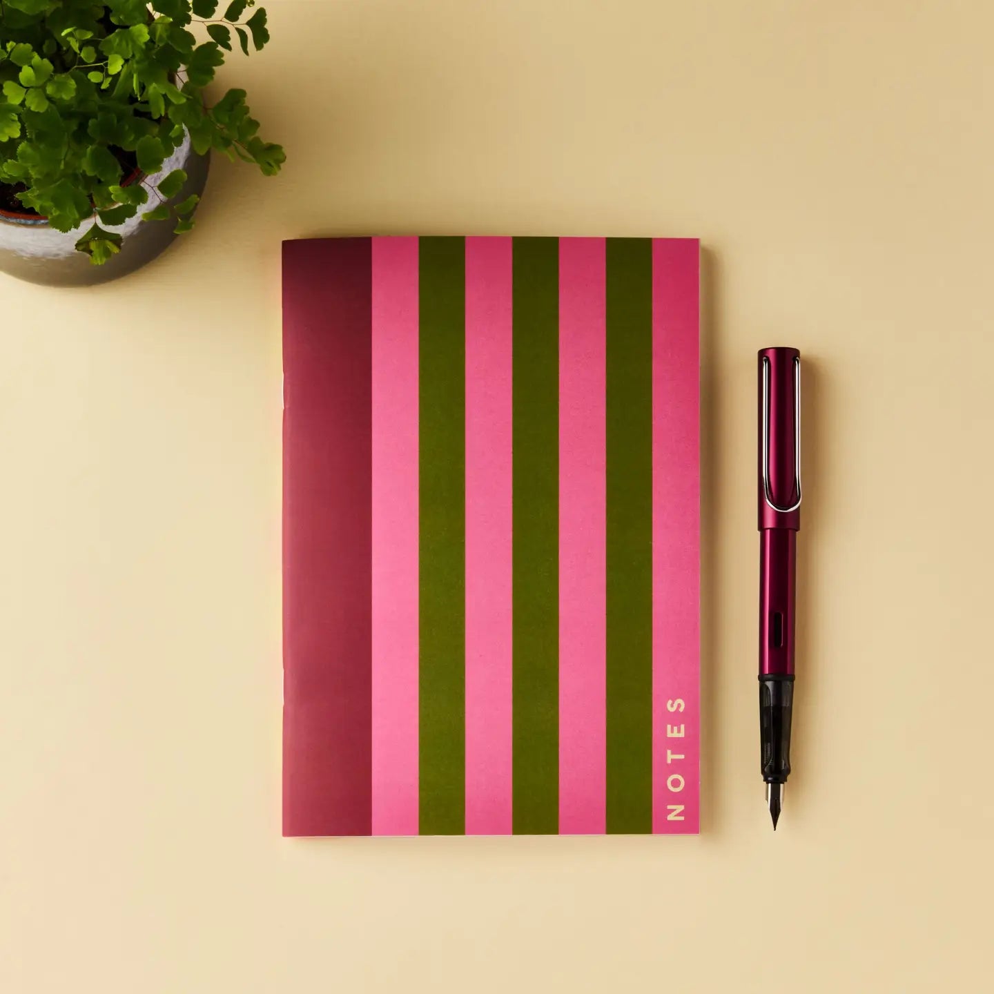 In Real Life stripy notebook