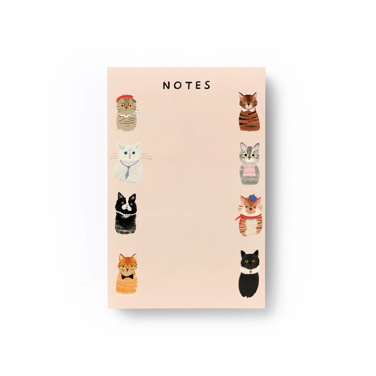 Cat notepad