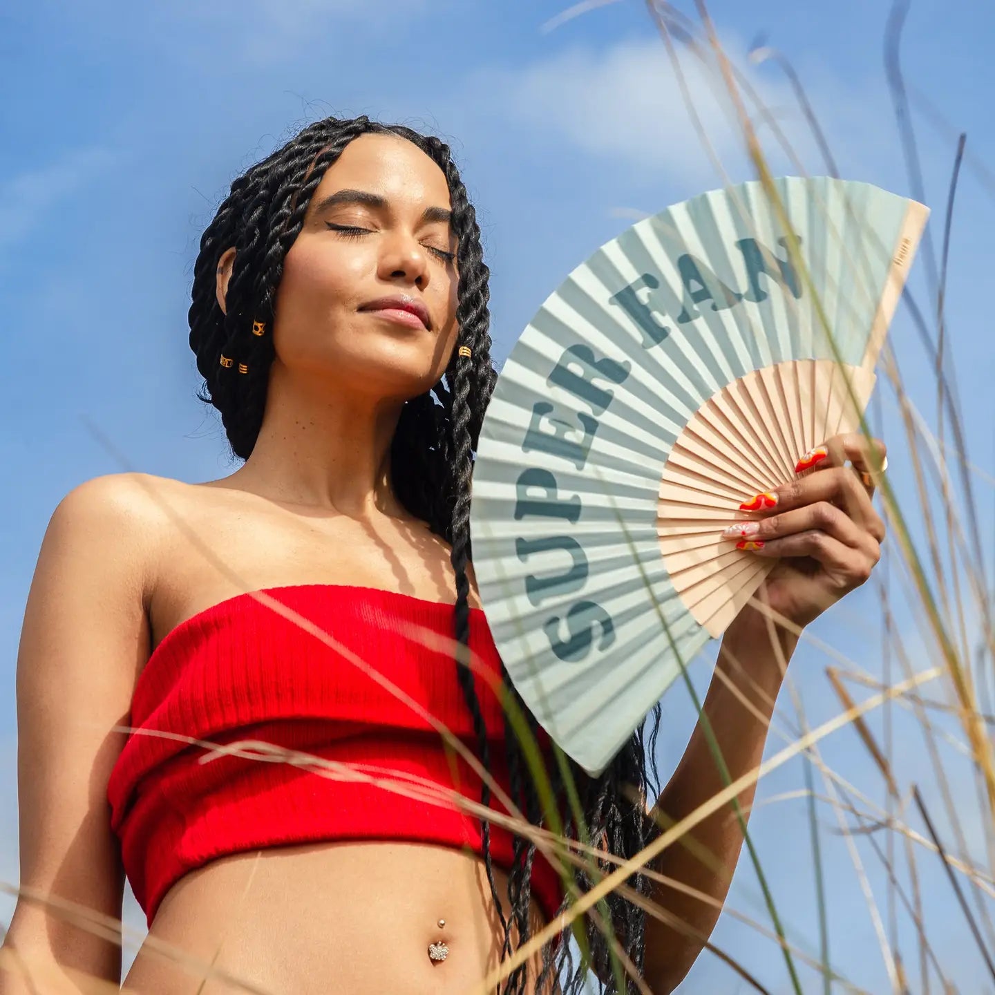 Super fan - handheld fan
