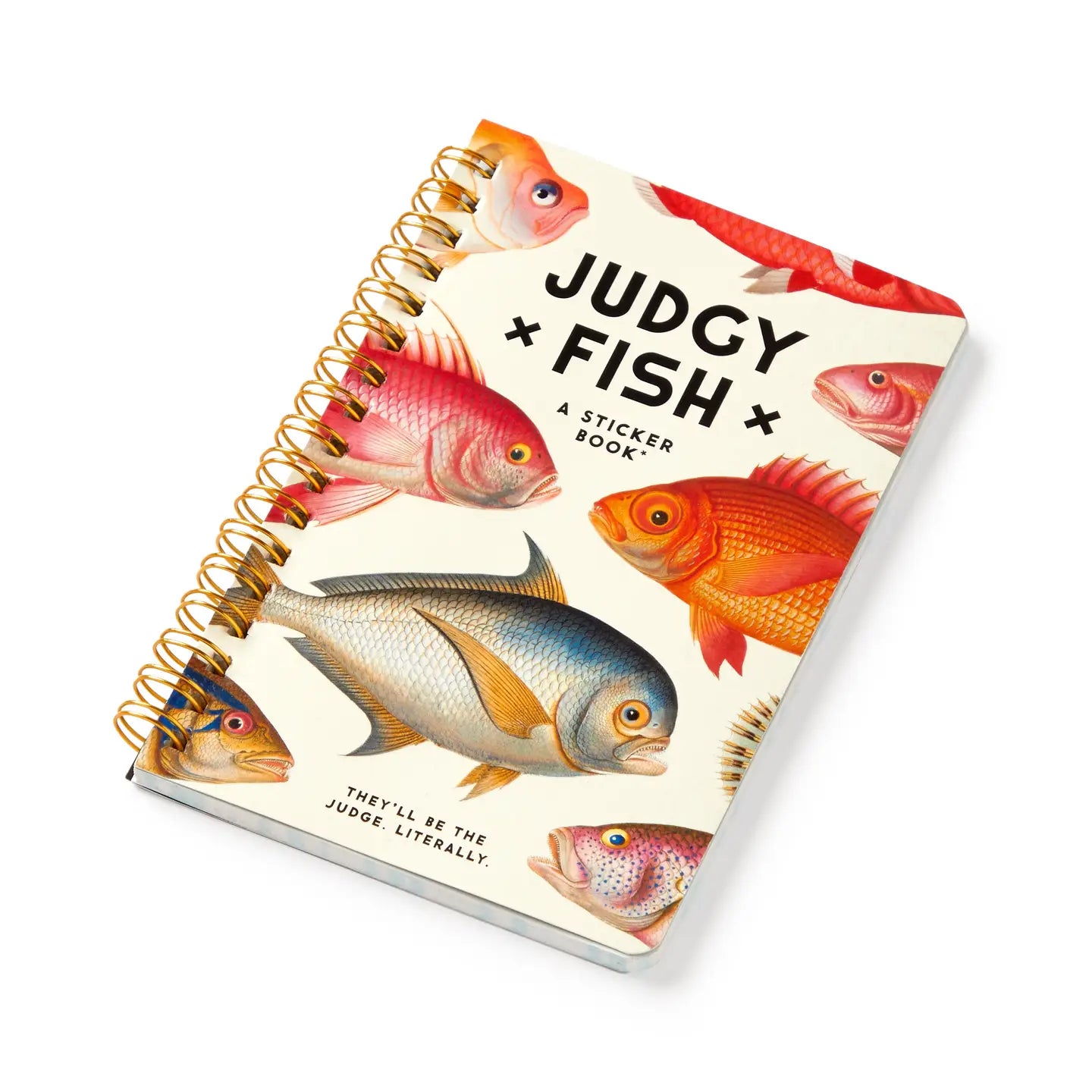 Judgy fish sticker book