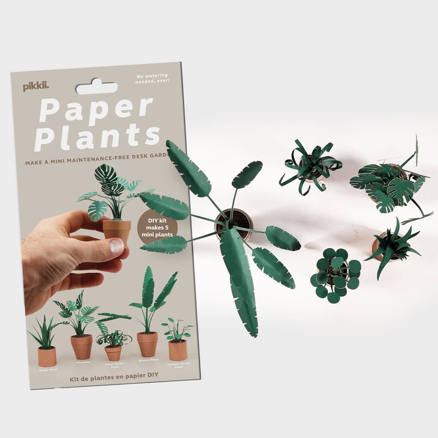 Paper plants