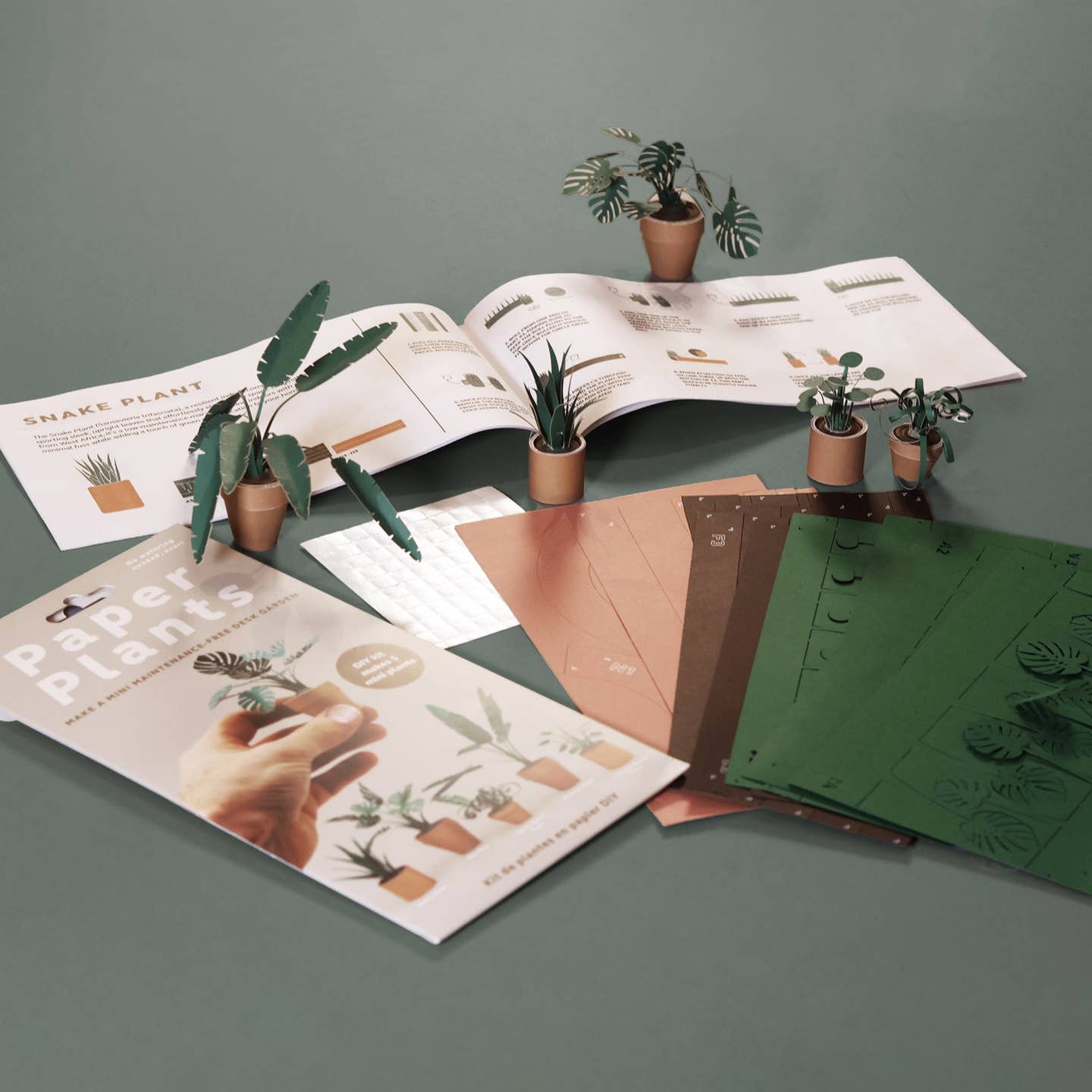 Paper plants