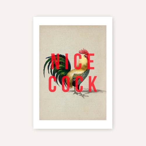 Nice cock A3 print