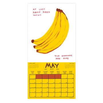 David Shrigley 2027 wall calendar
