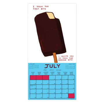 David Shrigley 2027 wall calendar
