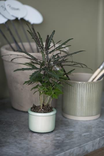Crackle glaze plant pot