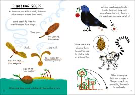 Hello Trees: Little Guides to Nature