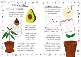 Hello Trees: Little Guides to Nature