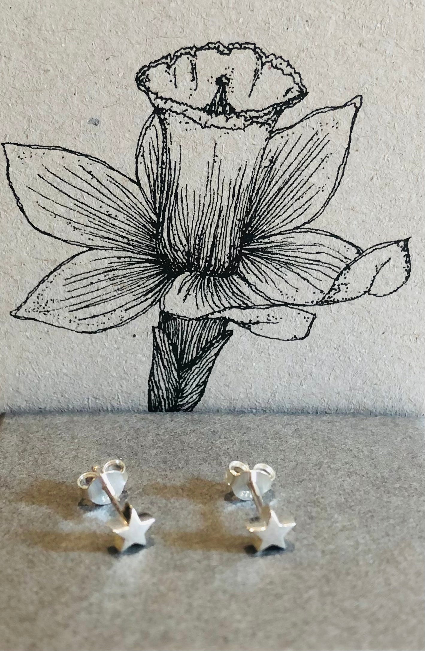 Silver star stud earrings