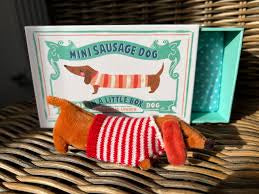 Sausage dog in a box