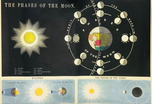 Phases of the moon POSTER