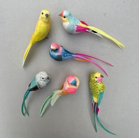 Feather bird clips: full set of 6