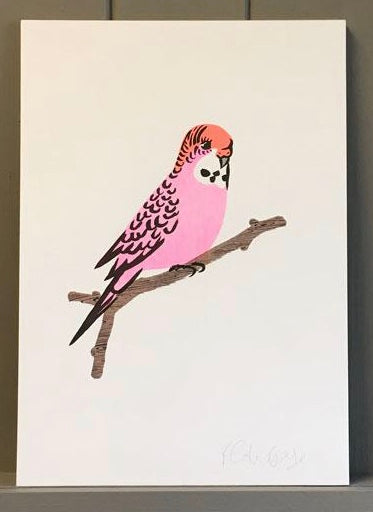 Pink budgie print