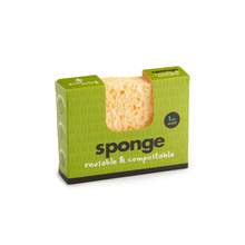 Compostable Sponge
